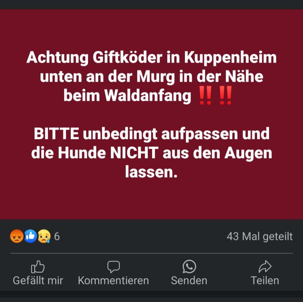 Giftköder-Giftköder-Profilbild