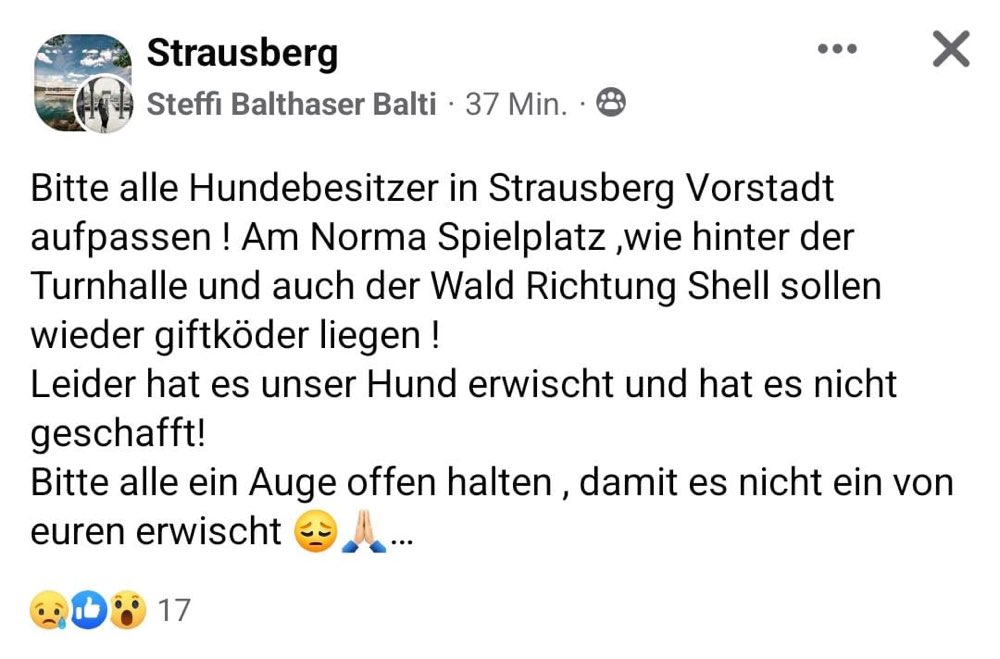 Giftköder-Giftköder-Profilbild