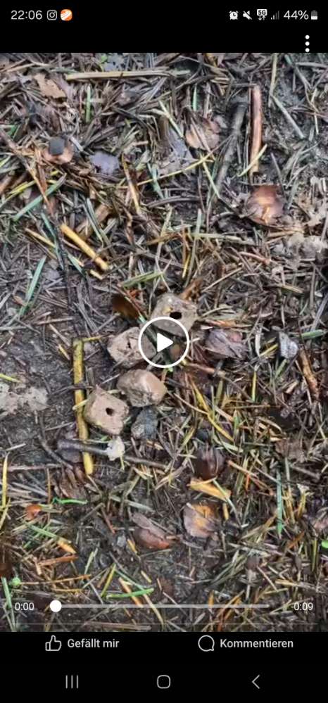 Giftköder-Giftköder in Daverden gesichtet-Profilbild