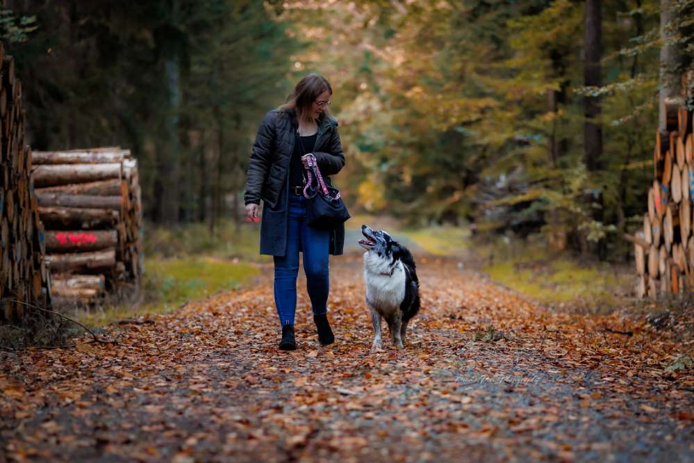 Hundetreffen-Aussie Treffen/Spaziergänge-Profilbild