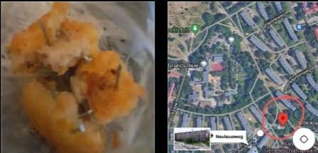 Giftköder-Fleischstücke mit Nägeln-Profilbild