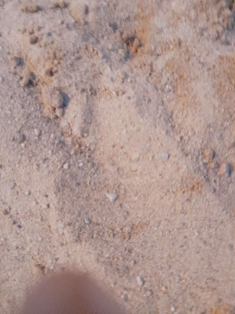 Giftköder-Giftköder,Rattengiftpellets  etc.-Profilbild