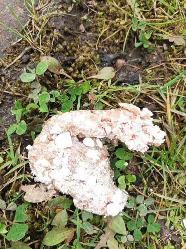 Giftköder-Giftköder Wichernweg/Sonnige-Profilbild