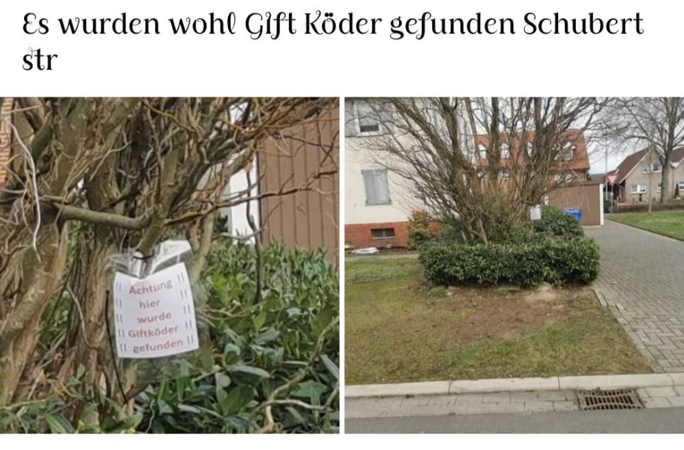 Giftköder-Giftköder-Profilbild