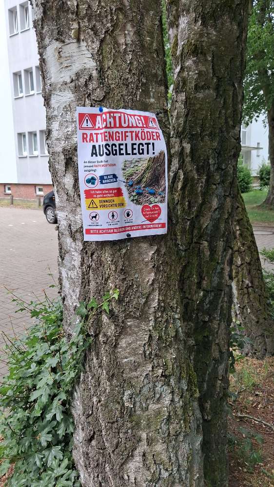Giftköder-Ratengift-Profilbild
