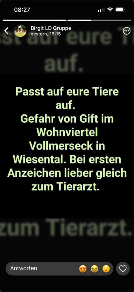 Giftköder-Gift-Profilbild