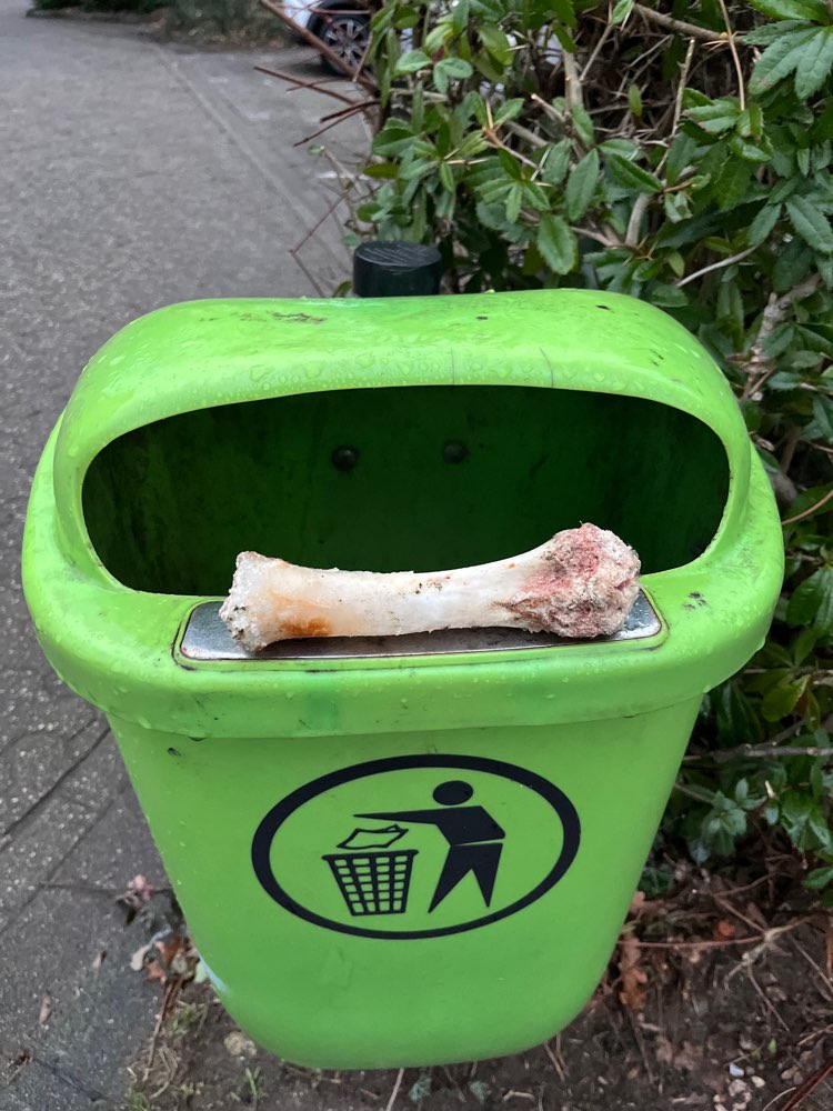 Giftköder-Tierknochen, Knochenteile-Profilbild