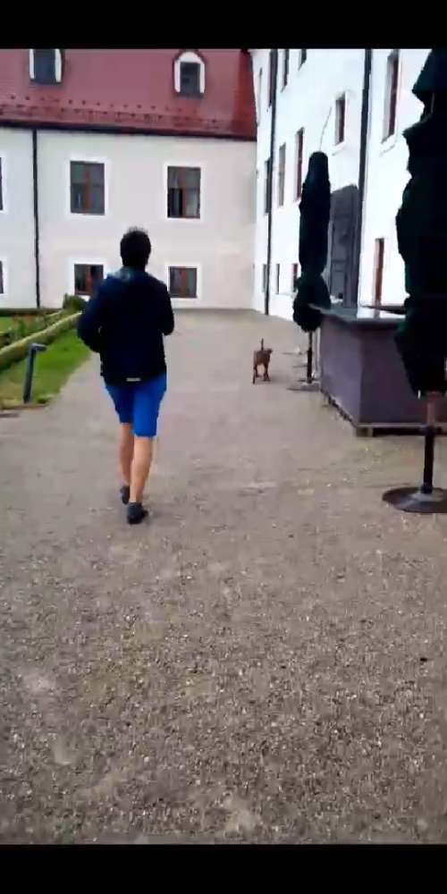 Hundetreffen-Mantrailing Hobby Gruppe-Profilbild