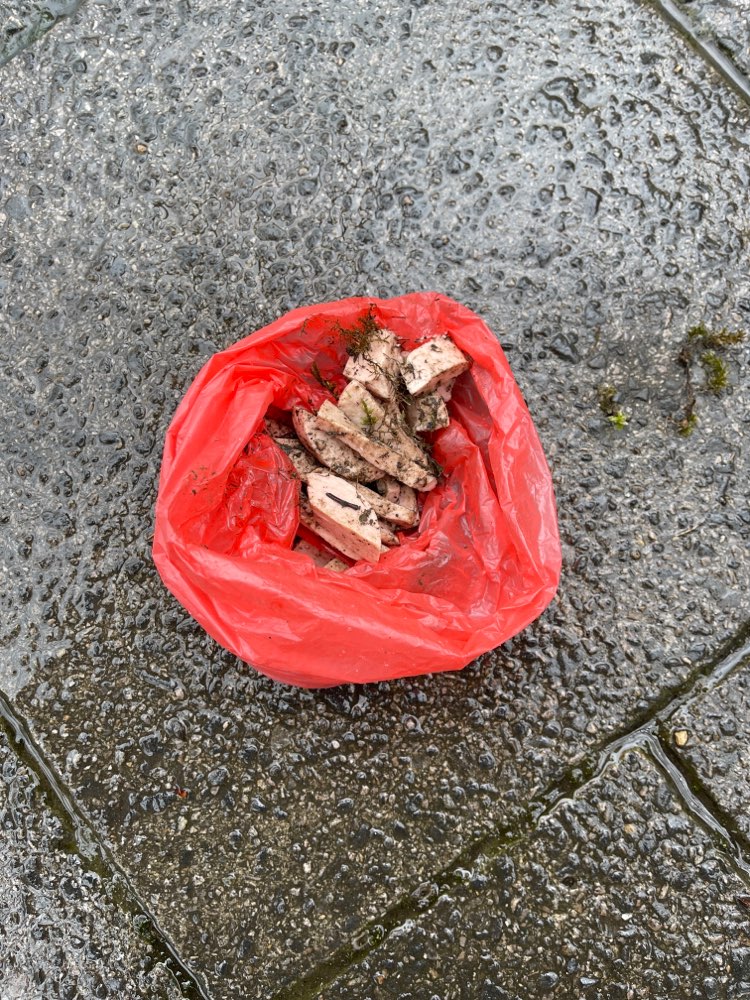 Giftköder-Verdächtige Wurststücke auf Grünfläche-Profilbild