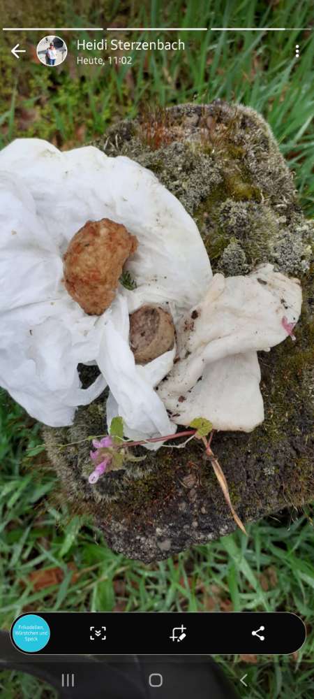 Giftköder-Eventuell Giftköder-Profilbild