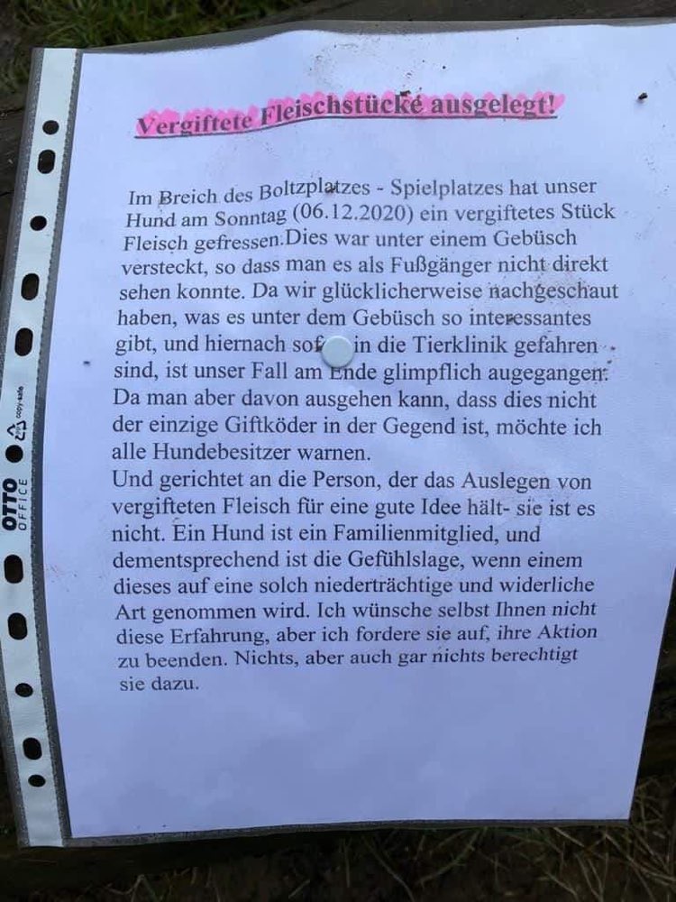 Giftköder-Vergiftete Fleischstücke-Profilbild