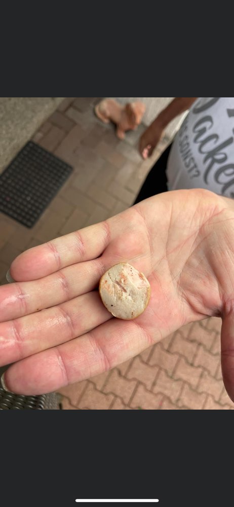 Giftköder-Giftköder-Profilbild