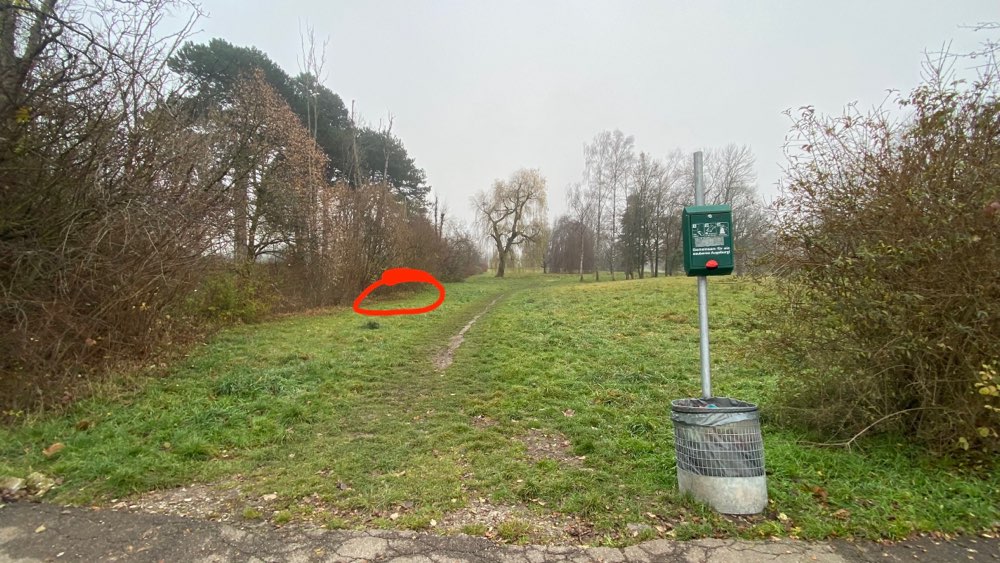 Giftköder-Giftköder-Profilbild