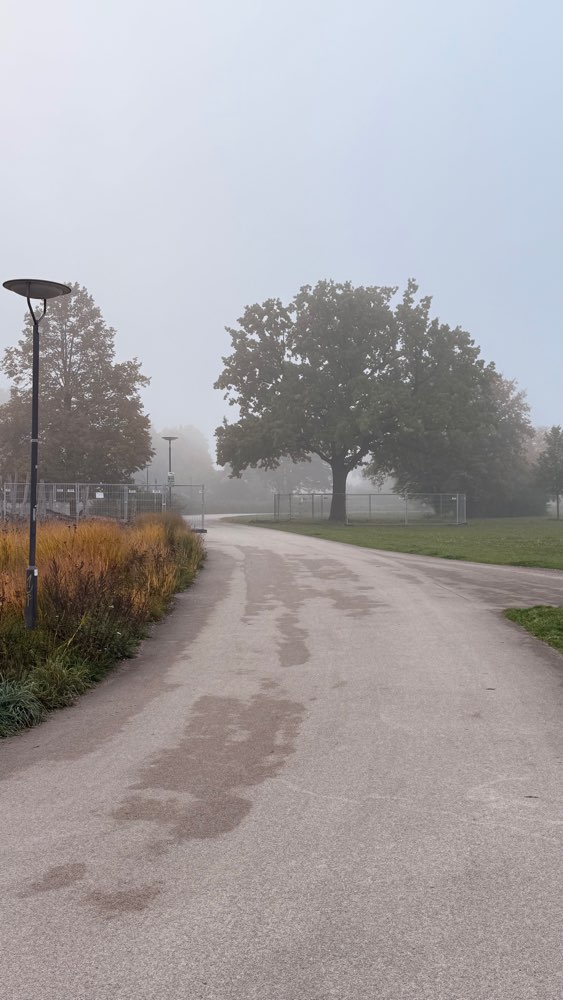 Giftköder-Eichen-Prozessionspinner-Profilbild