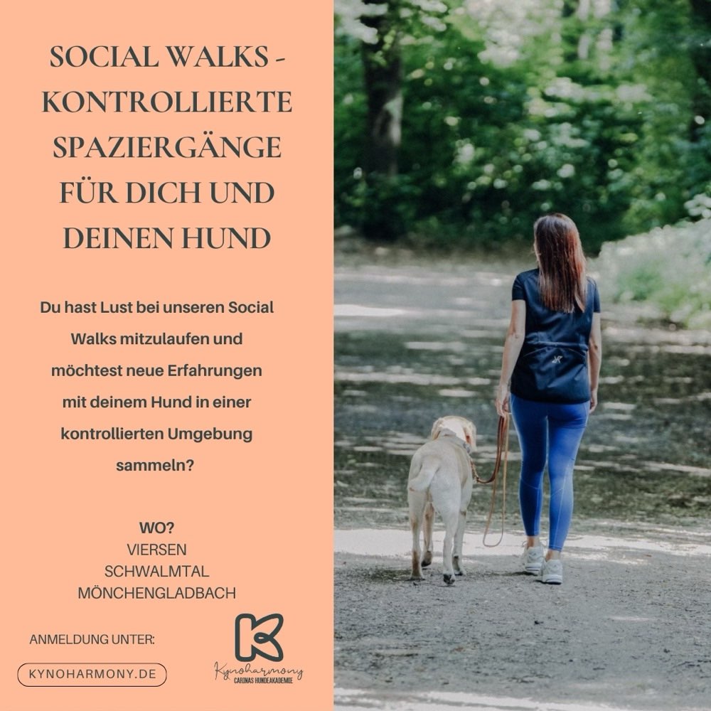 Hundetreffen-Social Walks-Profilbild