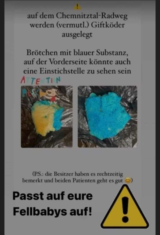 Giftköder-Möglicherweise Giftköder-Profilbild