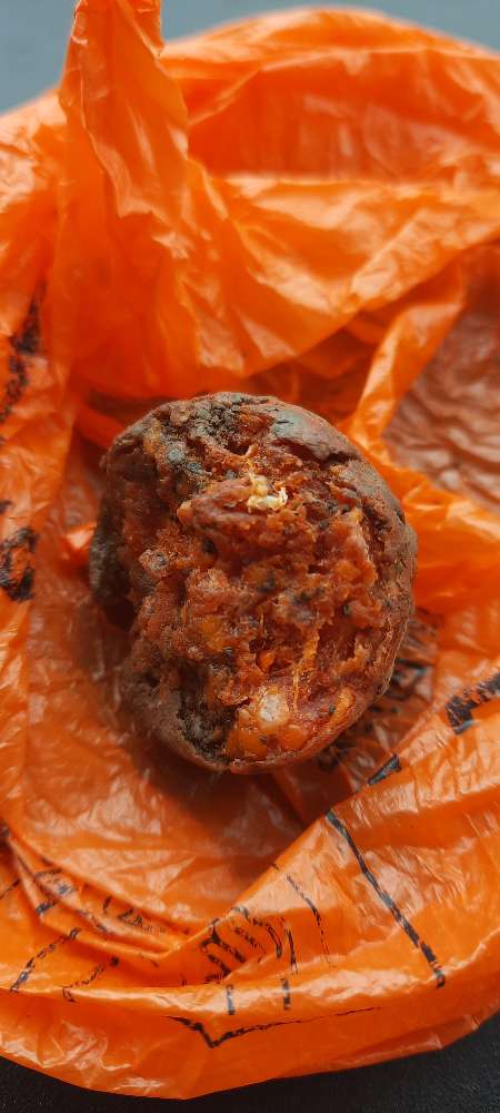 Giftköder-Achtung Giftköder Maichingen-Profilbild