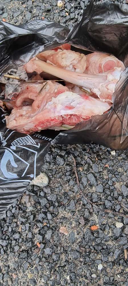 Giftköder-Verdacht auf vergiftete Knochen-Profilbild