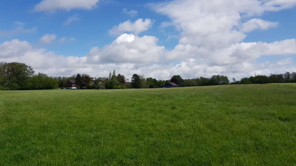 Hundetreffen-Gassi rund um den Staplack-Profilbild
