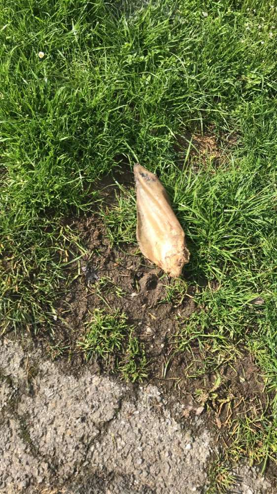 Giftköder-Möglicher Giftköder VORSICHT!-Profilbild