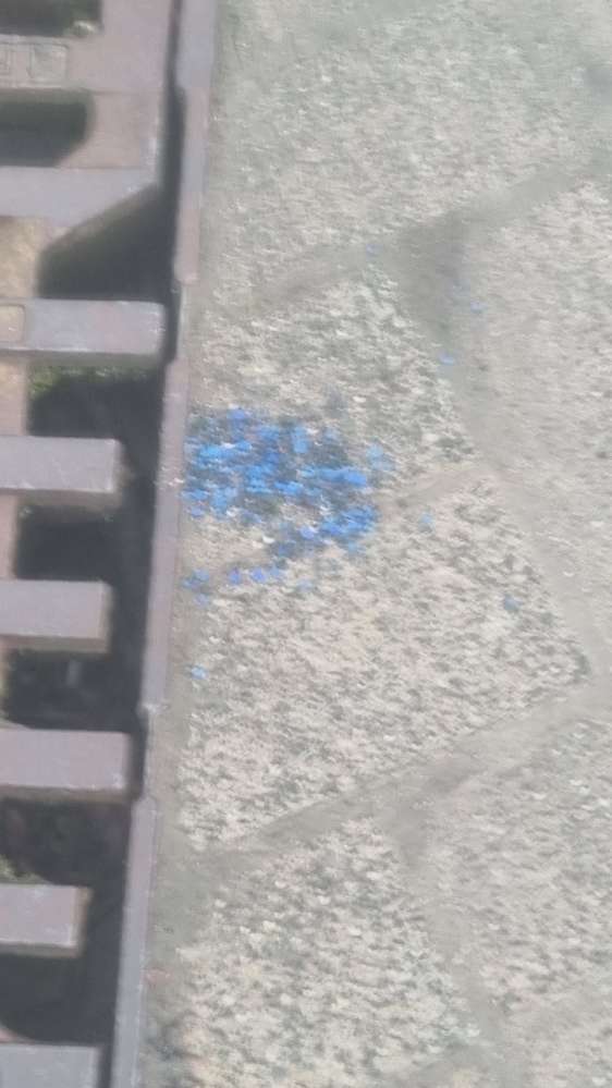 Giftköder-Eventuell Giftköder-Profilbild