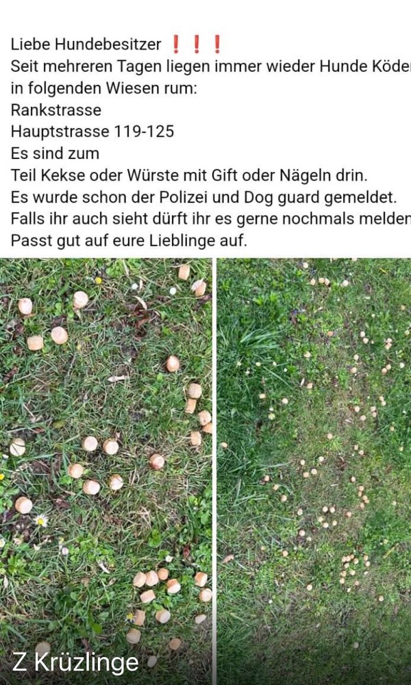 Giftköder-Giftköder-Profilbild