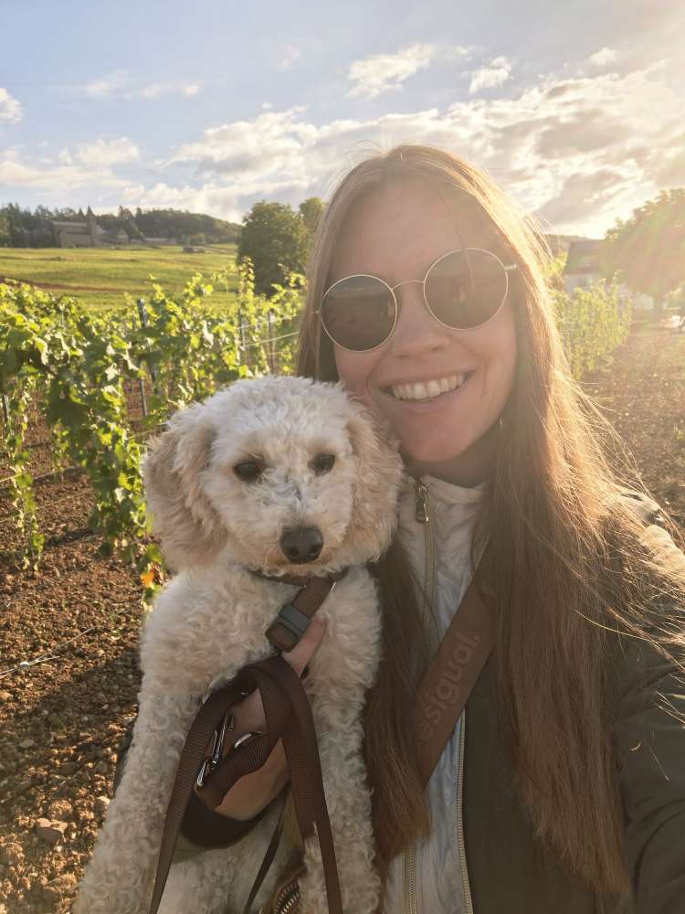 Hundetreffen-Spazier -und Spieltreffen-Profilbild