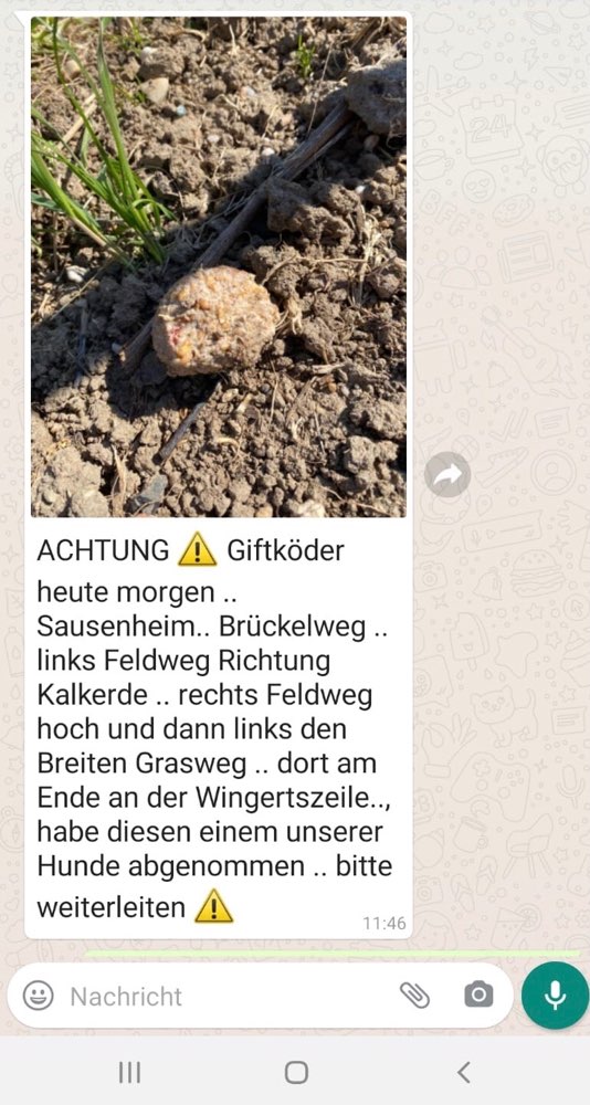 Giftköder-Giftköder-Profilbild