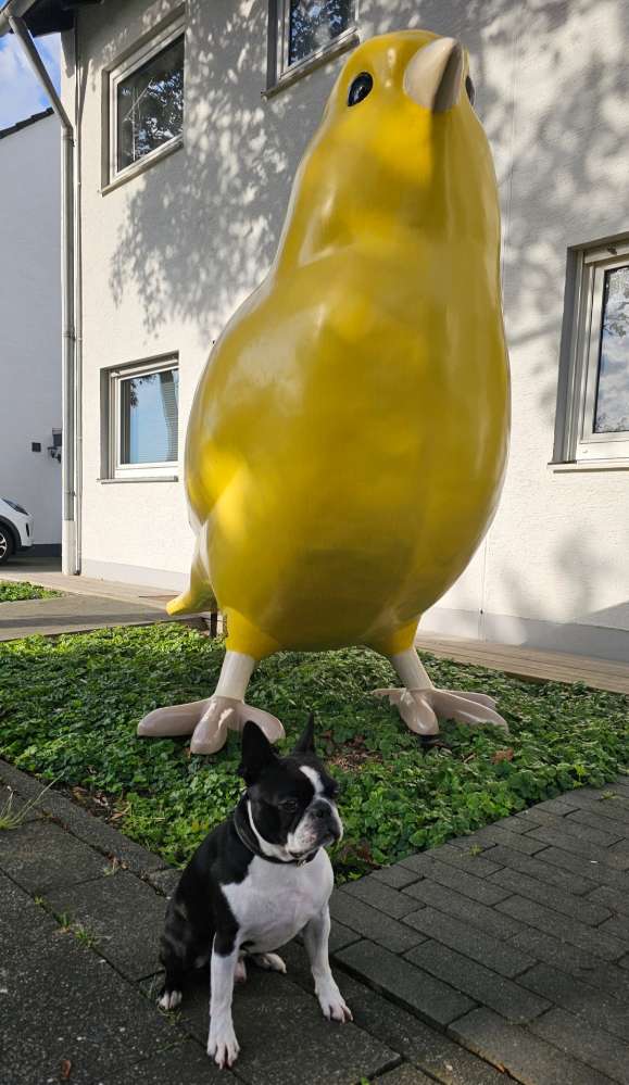 Deine Fellnase mit einer Tierskulptur Banner