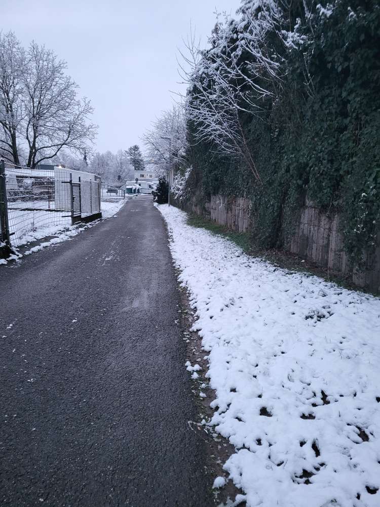 Giftköder-ACHTUNG EVENTUELL GIFTKÖDER!-Profilbild