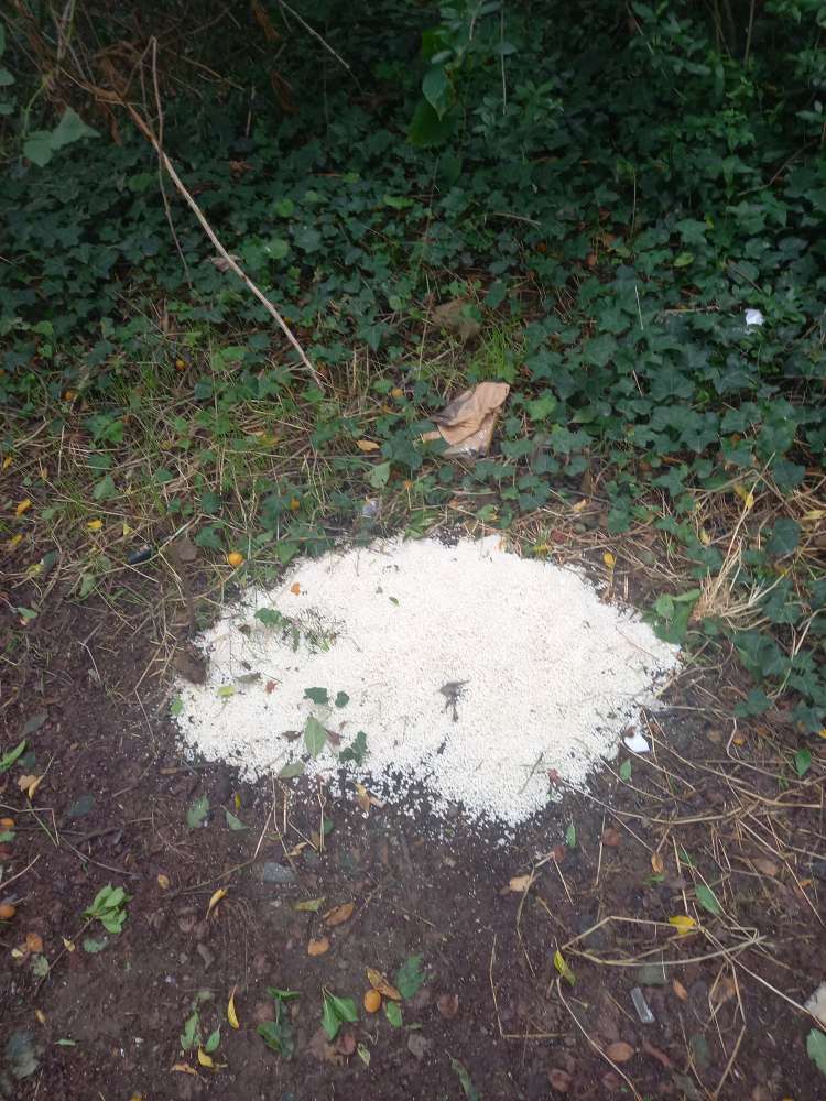 Giftköder-Haufen Reis-Profilbild