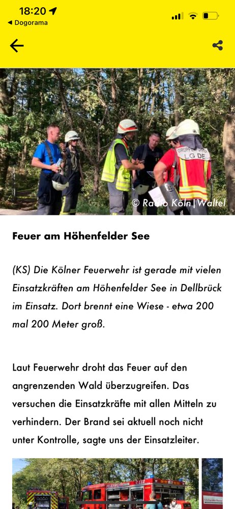 Giftköder-Feuer-Profilbild