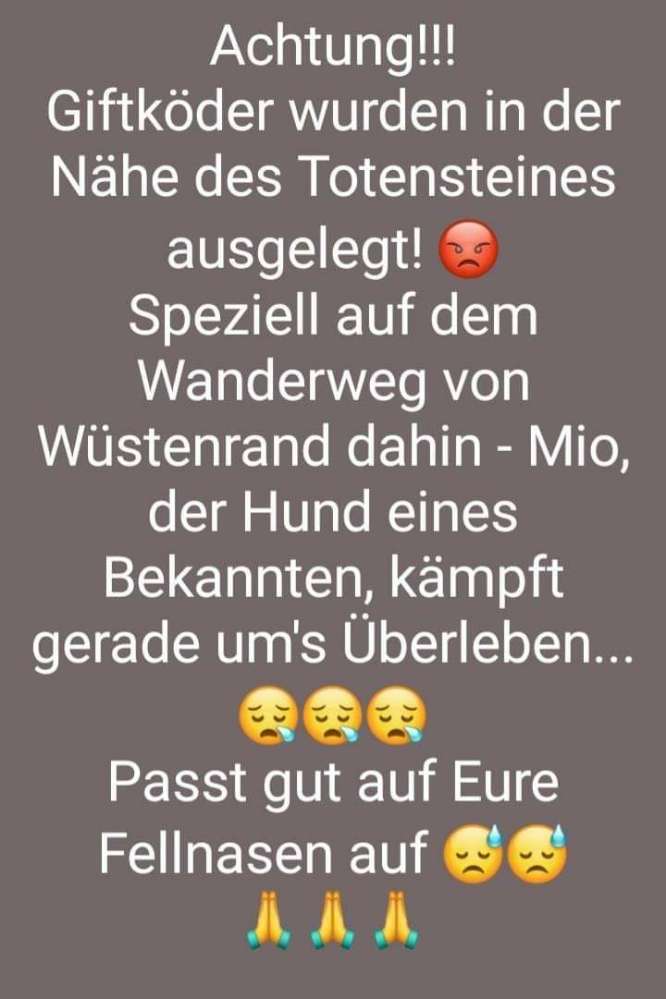Giftköder-Giftköder-Profilbild