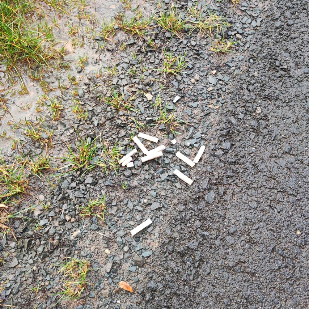 Giftköder-Giftköder-Profilbild