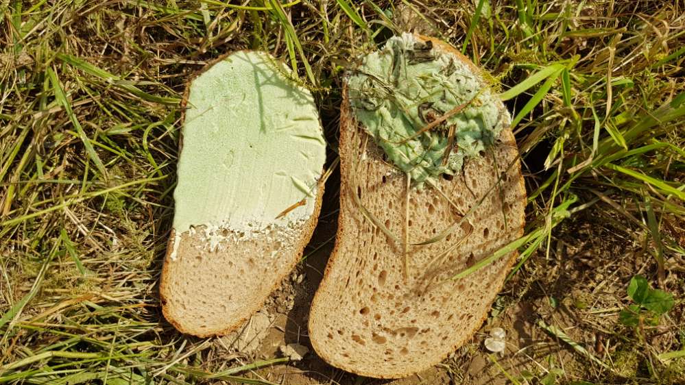 Giftköder-Gift Brot-Profilbild