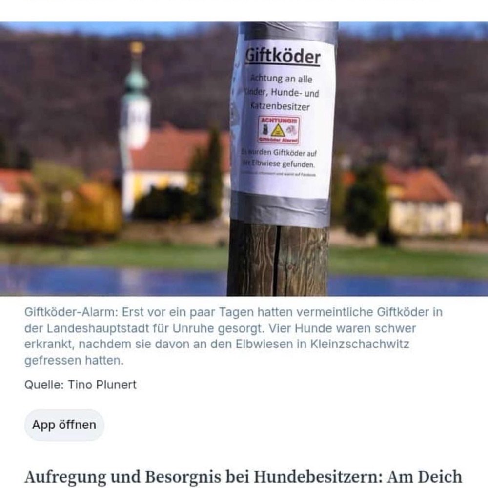 Giftköder-Giftköder-Profilbild