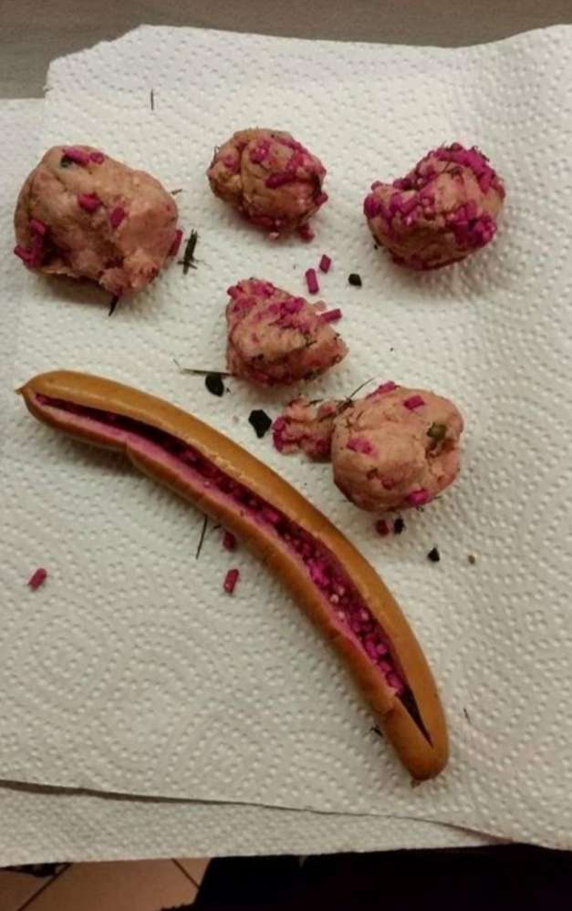 Giftköder-Achtung Giftköder-Profilbild