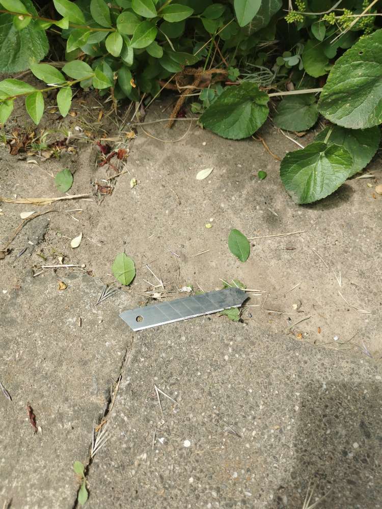 Giftköder-Cuttermesser Klingen-Profilbild