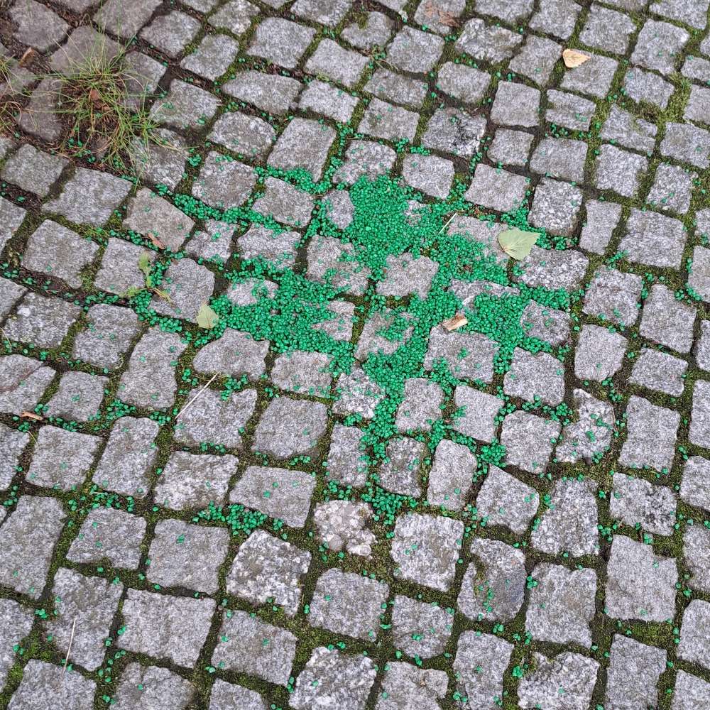 Giftköder-Grünes Granulat auf dem Gehweg-Profilbild