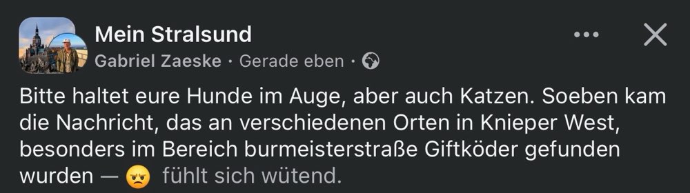 Giftköder-Giftköder-Profilbild