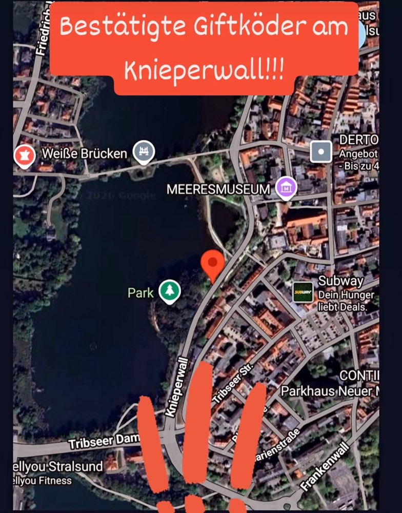 Giftköder-Giftköder-Profilbild