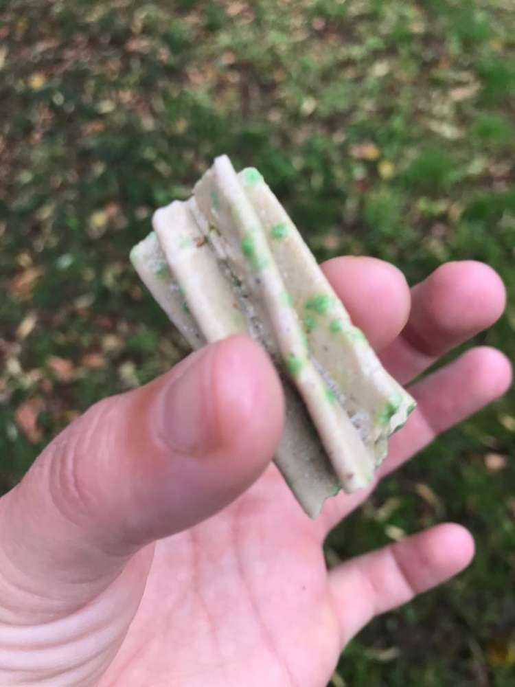 Giftköder-Möglicher Giftleckerli / Anton-Saefkow-Profilbild