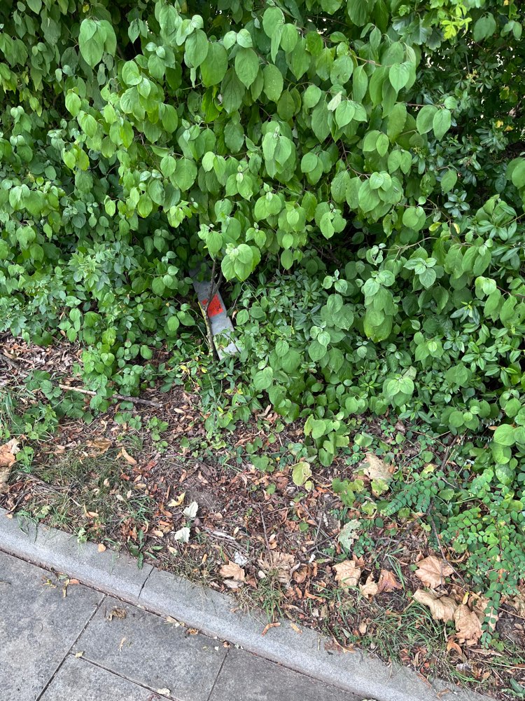 Giftköder-Rattengift Köderboxen-Profilbild