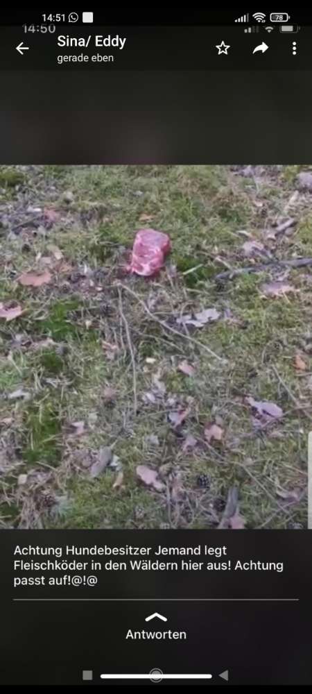 Giftköder-Fleischstücke-Profilbild