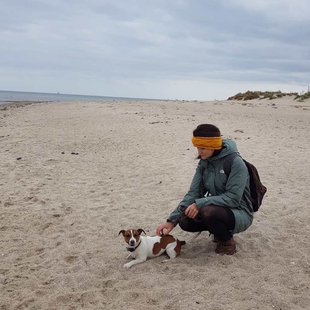 Hundetreffen-Spielfreunde gesucht-Profilbild