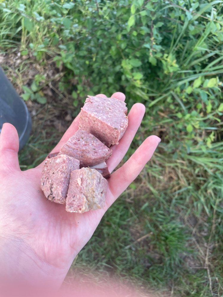 Giftköder-Ausgelegte Dosenwurst-Profilbild