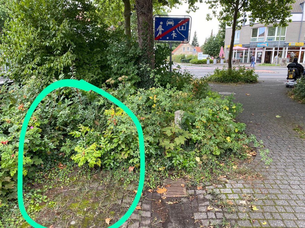 Giftköder-Giftköder-Profilbild