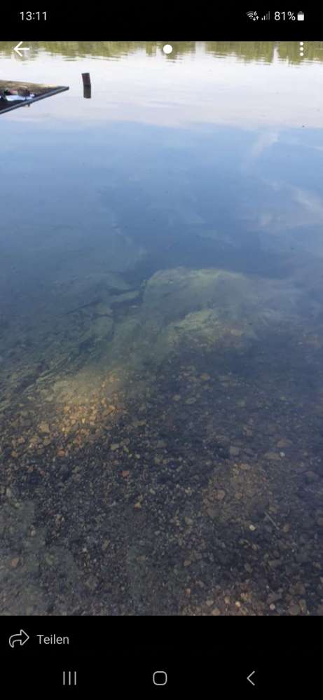 Giftköder-Südsee Schulenburg: Blaualgen-Profilbild