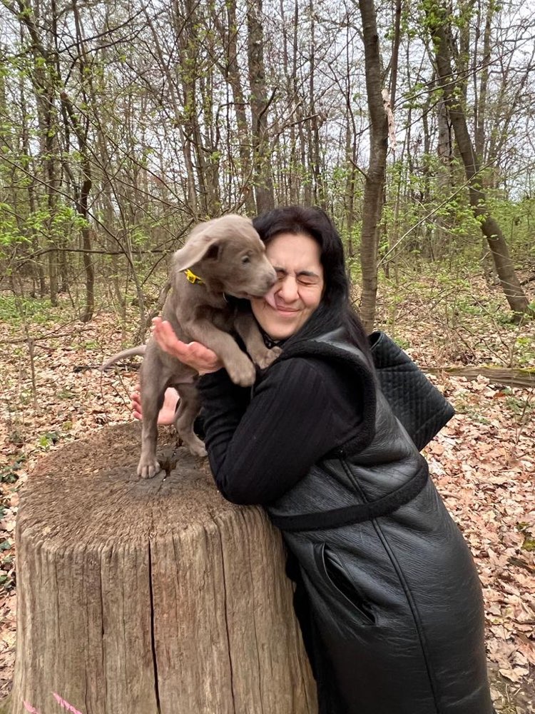 Hundetreffen-Wo sind die Waiblinger?-Profilbild