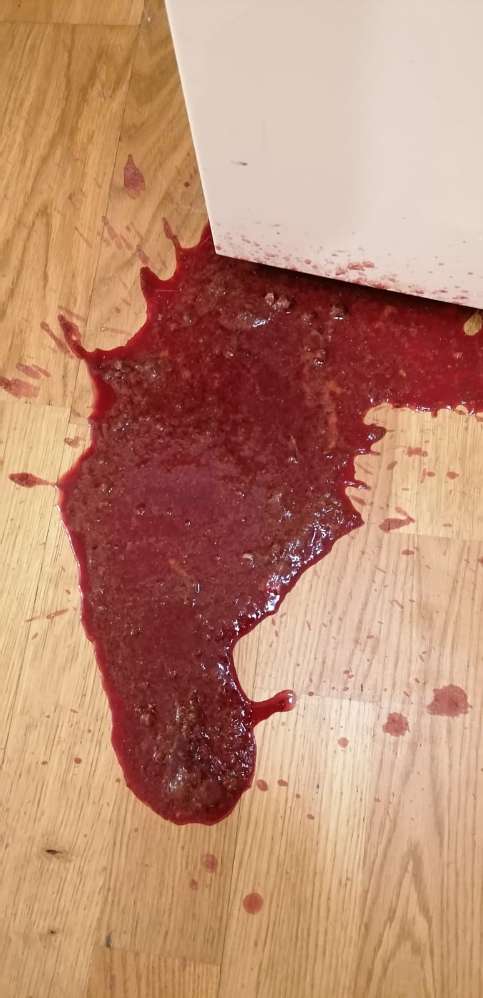 Giftköder-Giftköder-Profilbild